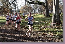 Begles 15.12.13 01 723 * 679 x 453 * (221KB)